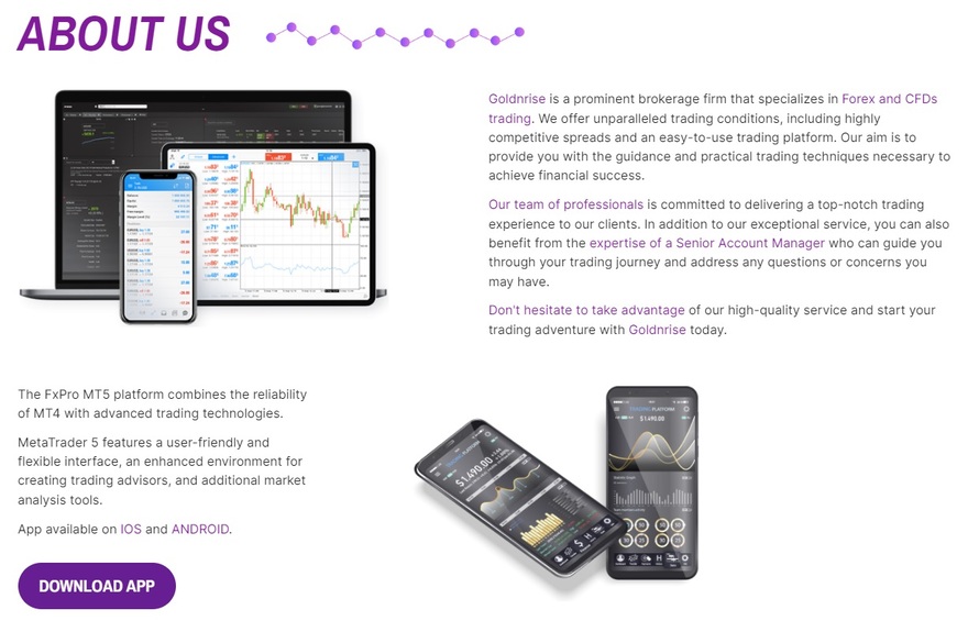 Goldnrise MT5 trading platform overview