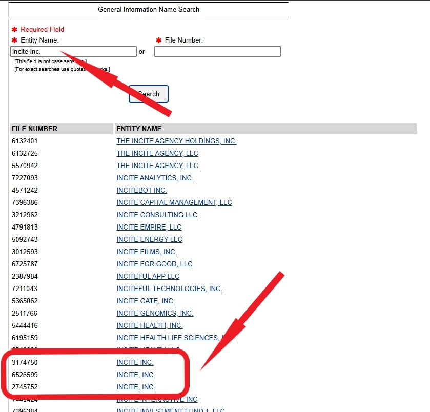 Plenty of companies named Incite in Delaware